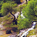 Mountain river