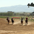 Hippodrome