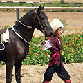 Hippodrome
