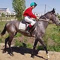 On the hippodrome