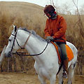 Horseback trip