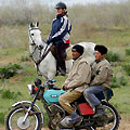 Horseback trip