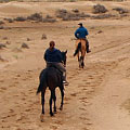 Horse ride