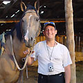 Good horse!