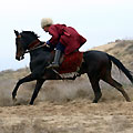 Race in the desert