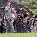 Group of photographers