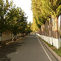 Uzbek mahallya — ��������� �������