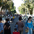 Tashkent Broadway — ����������� "�������"