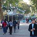 Tashkent Broadway — ����������� "�������"