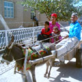 Uzbek people