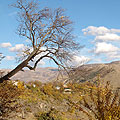 Nature of Armenia