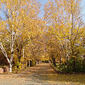 Nature of Armenia