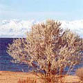 Issyk Kul Lake