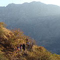 Paltau tour — ��� � ������� ���� �������