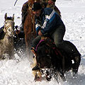 Ulok (Buzkashi) — ������������ ���� "����" (�������)