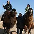 Camel riding — �������� �� ���������