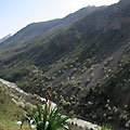 Nature of Ugam-Chatkal National Park