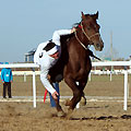 Kazakh national games 