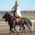 Kazakh national sports