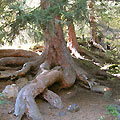 Kolsay Lakes