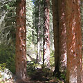 Kolsay Lakes