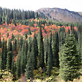 Kolsay Lakes