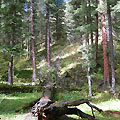 Kolsay Lakes
