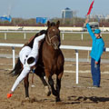 Kazakhstan pictures