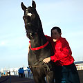Astana hippodrome