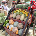 Rich harvest — ������� ������