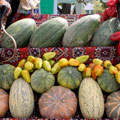 Melons and gourds — ���� � �����