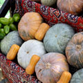 Melons and gourds — ���� � �����
