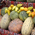 Vegetable abundance — ������� ��������