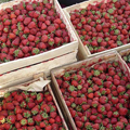 Natural strawberry in May in Uzbekistan — ������� �������� � �����������