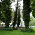 Tashkent Broadway
