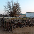 Yangikazghan village — ������ ����������