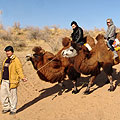 Camel riding — ������� �� ���������