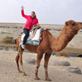 Camel riding