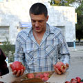 Pomegranate — �������
