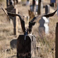 The horns at the grave — The tradition of placing the horns at the grave - an ancient custom, which means communication with the totemic ancestor-progenitor. �������� ��������� ���� �� ������ -  ������� ������, ����������  ����� � �������� ������������-������������