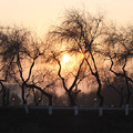 Sunset over Tashkent — ����� ��� ���������
