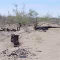 Aral Sea