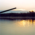 Nature of Arnasay