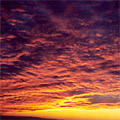 Nature of Arnasay
