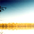 Nature of Arnasay