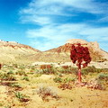Ayazkala yurts