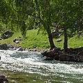 Brichmulla