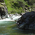 Brichmulla