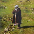 Bukhara (XX century)