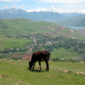 Charvak village